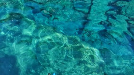 Riomaggiore: Cinque Terre Daytime Cruise with Snorkeling