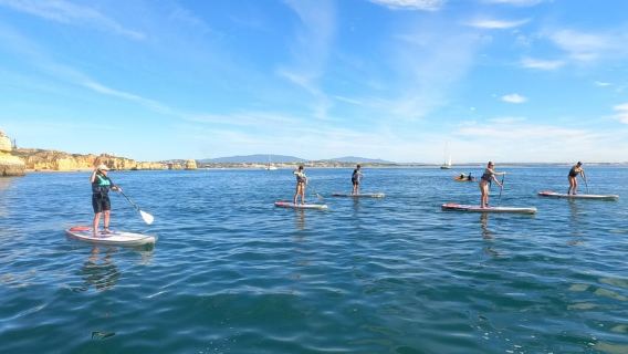Lagos: Guided SUP Tour to Ponta da Piedade Caves