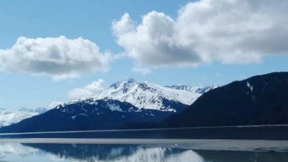 美國安克雷奇-海切爾山口+坦納根海灣+野生動物邂逅-省心私享