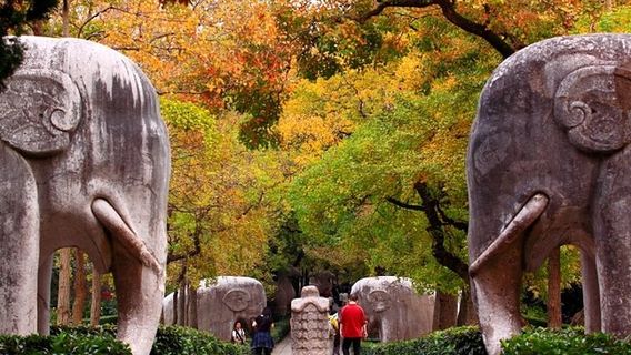 NanjingTours