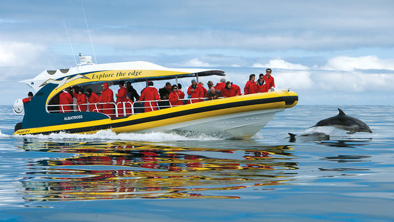 Bruny Island