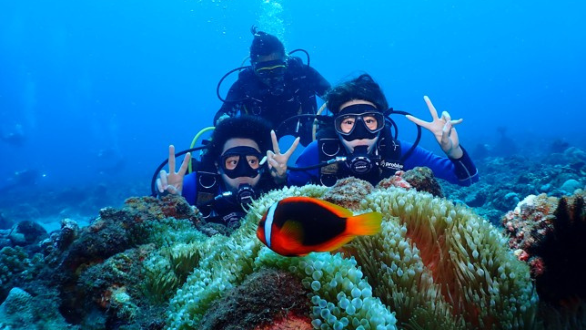 Pingtung Lambai Island 2-hour diving experience scuba diving [Xiaoliuqiu one-on-one license-free diving experience | Bear Diving]