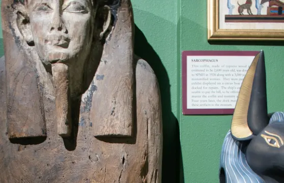 St. Petersburg Museum of History：入場門票長者