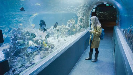 Norway + Bergen Fish Market + Bryggen + Bergen Aquarium + Mount Fløen one-day tour