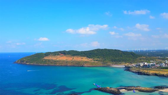 濟州市日遊