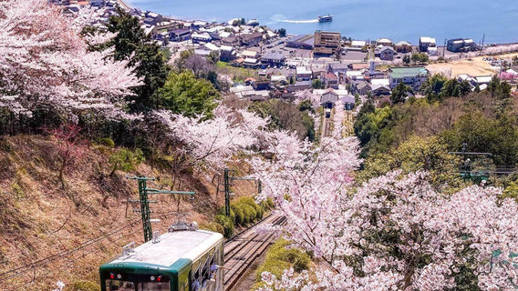 京都日遊
