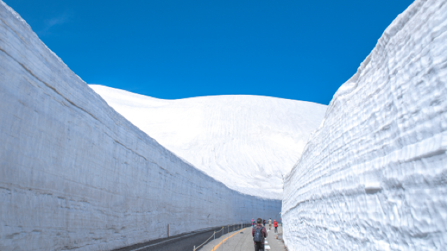 立山黒部アルペンルート雪の大谷日帰りツアー【名古屋発、中国語案内】