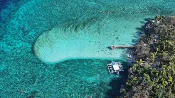 Oslob Whale Shark Watching + Sumilon Island 1-day tour