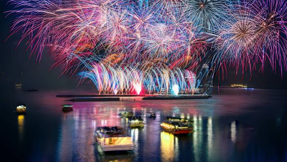 Tokyo Atami Sea Fireworks Tour