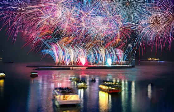 日本東京+熱海海上花火大會一日遊·中英雙語/海上遊船賞花火