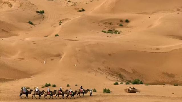 Yinchuan + Zhongwei Shapotou Scenic Area + Tengger Desert + No.66 Road day tour
