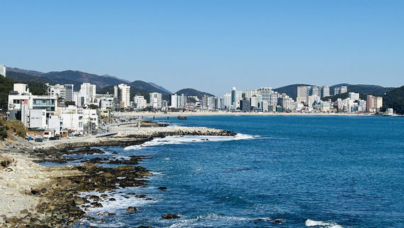 부산데이 투어
