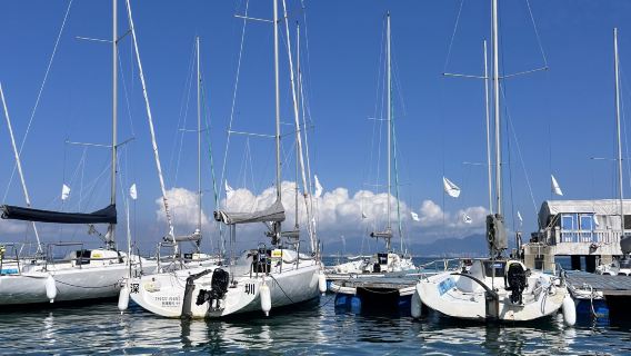 Guangdong Huizhou Dongpo Memorial Hall + Shuidong Street + Huazhou Ecological attraction 1-day tour(English available)