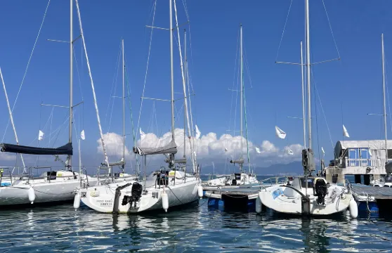 廣東惠州東坡紀念館+水東街+花洲生態景區一日遊 可中英文服務