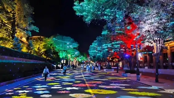 Badaling Great Wall Private Day & Night Tour