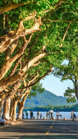 Half-Day Hangzhou West Lake Tour [Cruise to Three Pools Mirroring the Moon Island + Enjoy Ten Scenes of West Lake + Live Guide]