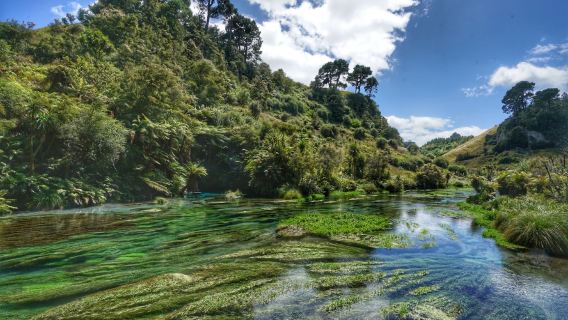 奧克蘭羅托魯瓦一日遊【藍泉+懷歐塔普地熱+胡卡瀑布+陶波湖】