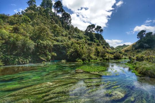 奧克蘭羅托魯瓦一日遊【藍泉+懷歐塔普地熱+胡卡瀑布+陶波湖】