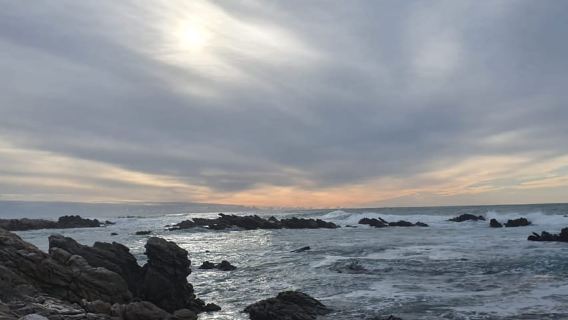 Cape Town: Cape Aghullas Van Tour with Hotel Pickup