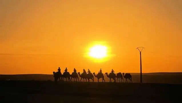 Marrakech: Agafay Desert Quad & Camel Rides with Dinner Show