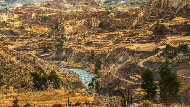 Day Trip to Colca Canyon + Transfer to Puno with Meals