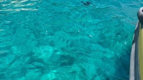 Sarandë: Cruise with Drinks, Snorkel at Shipwreck Swim Stops