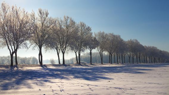 挪威特羅姆瑟-來回Senja島一日遊【多/日遊全境定制】