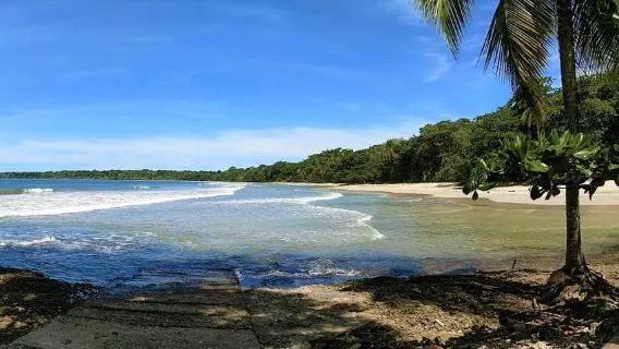 Taman Nasional Marino Ballena: Pengamatan Paus di Uvita