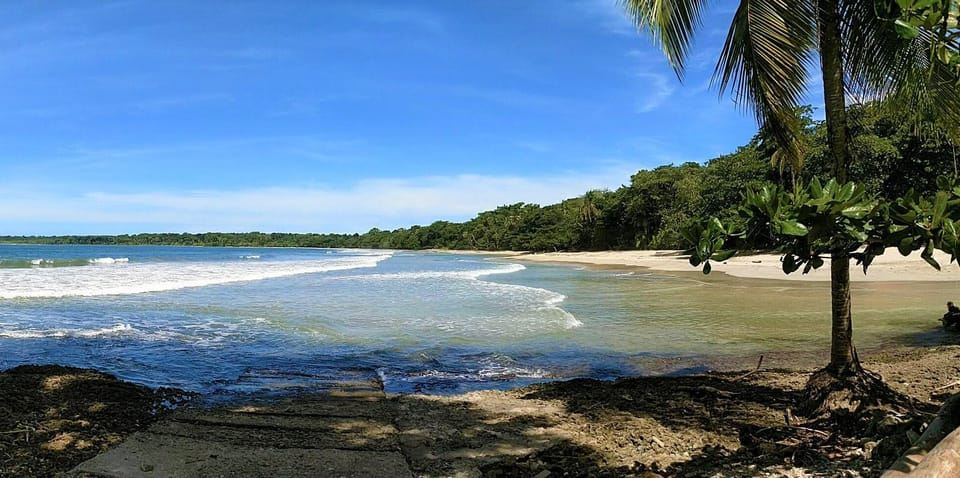 マリノ・バジェーナ国立公園：ウビタでのホエールウォッチング