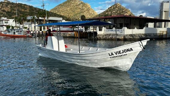 Cabo San Lucas: boat tour around the peninsula and stay at the beach