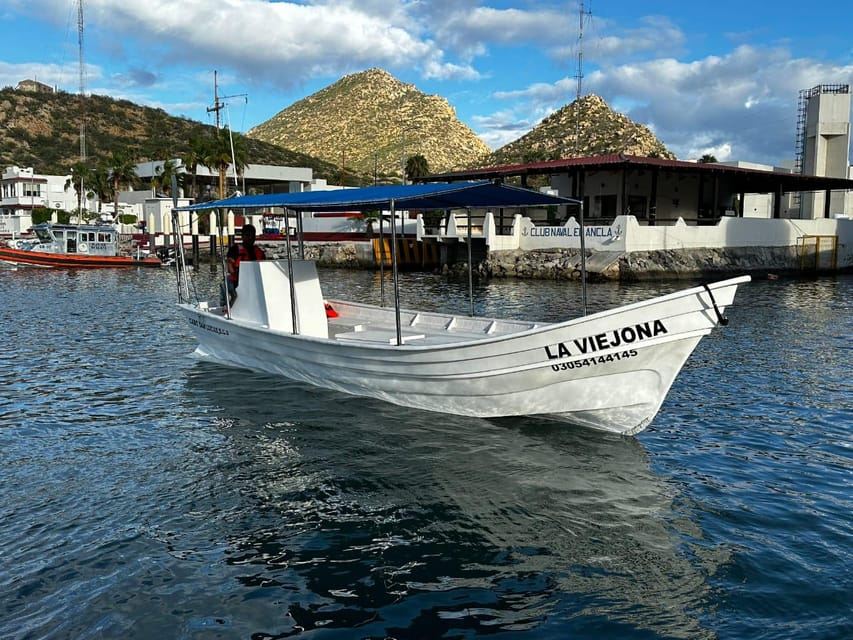Cabo San Lucas: paseo en barco por la península y estancia en la playa