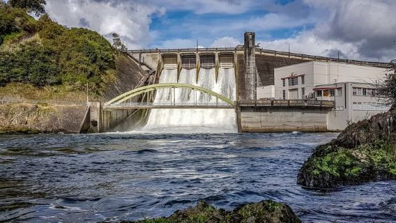 캠브리지 와이카토 뉴질랜드: 투어 -45분 익스트림 제트 보트