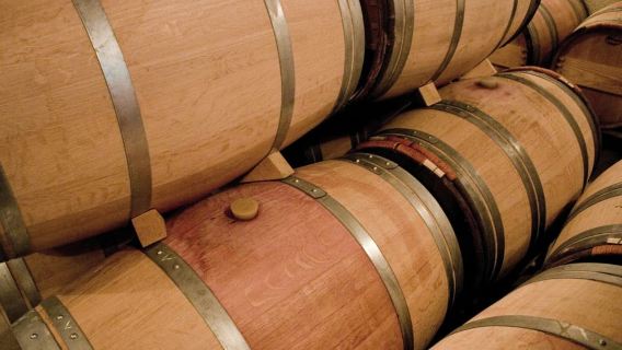 Da Bordeaux: tour di degustazione di vini di un giorno a St Emilion