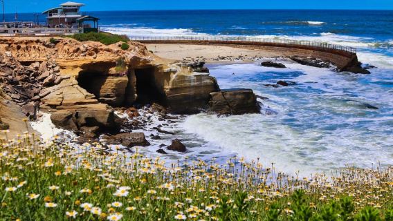Bersiar-siar di Tepi Laut: Lawatan Berjalan Khazanah Tersembunyi La Jolla