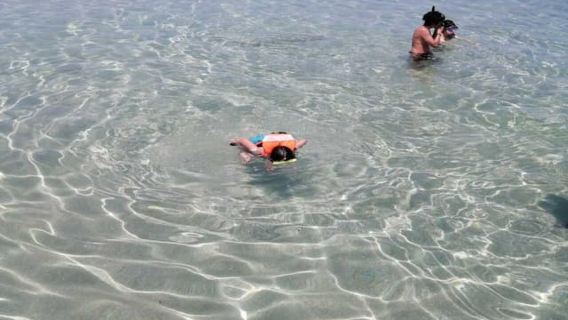 Veracruz: Snorkeling Adventure at Isla de En Medio