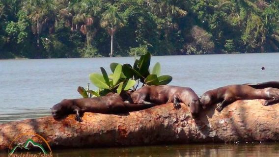 Sandoval lake full day