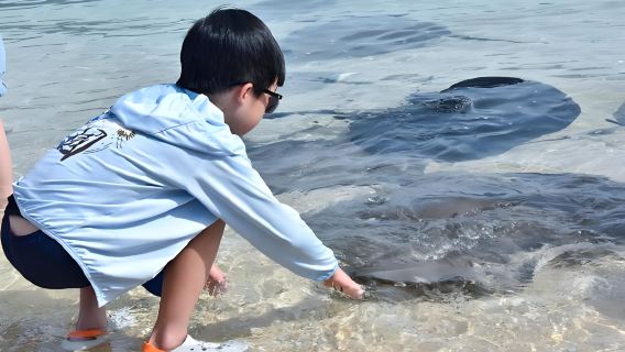 Boundary Island + Nanwan Monkey Island + Daydaybabe 1-day tour [Round-trip transfer service included, admission tickets not included]