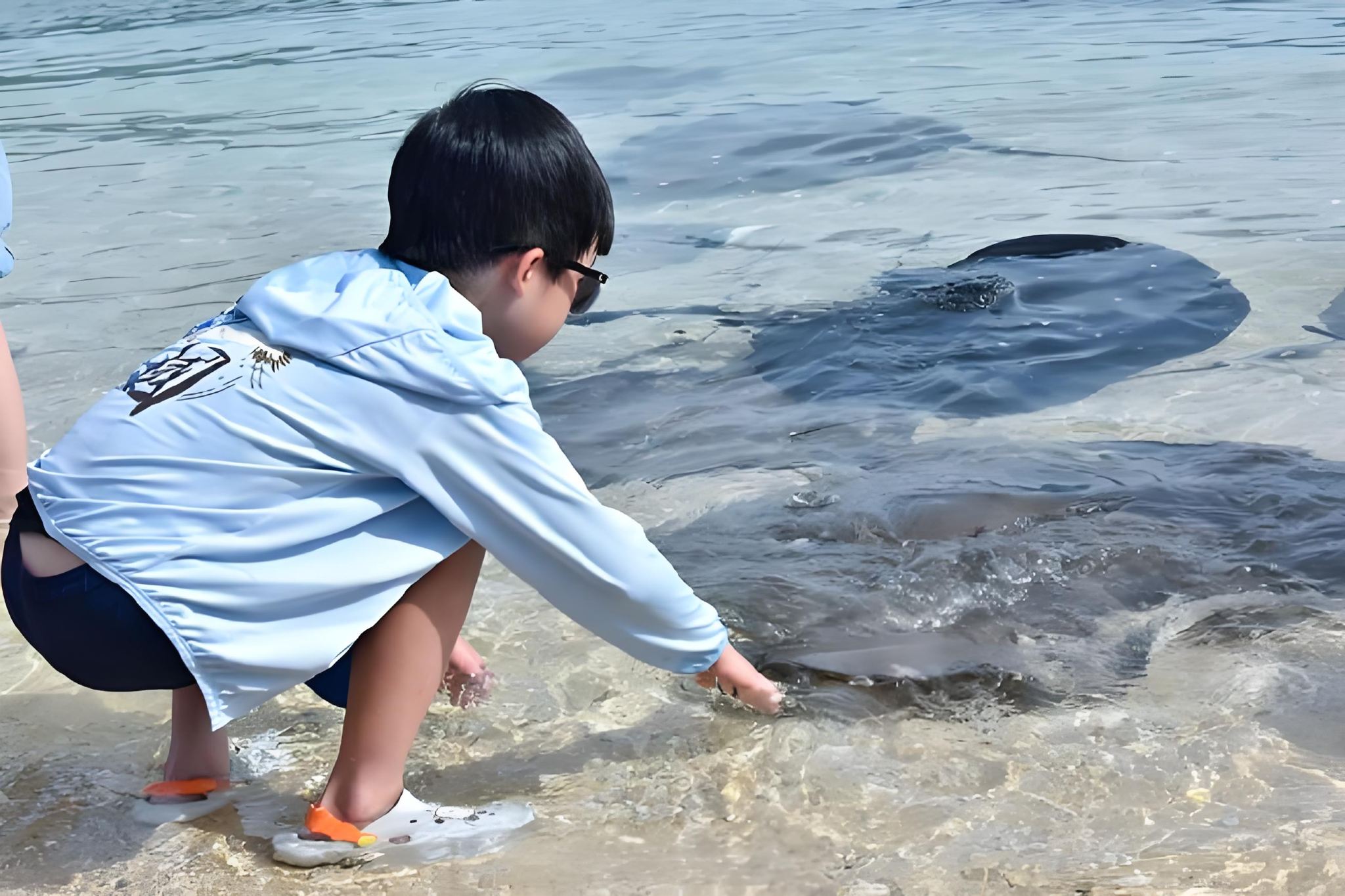 Boundary Island + Nanwan Monkey Island + Daydaybabe 1-day tour [Round-trip transfer service included, admission tickets not included]