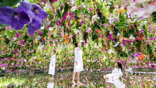 澳門一日遊【獨立成團上門接+可自訂行程+打卡澳門地標景點】