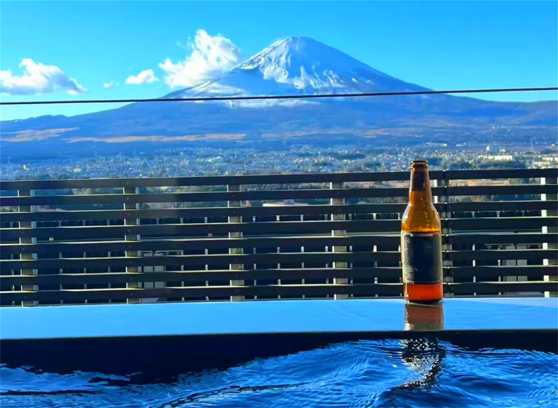 One-Day Fuji Mountain Hot Spring Tour