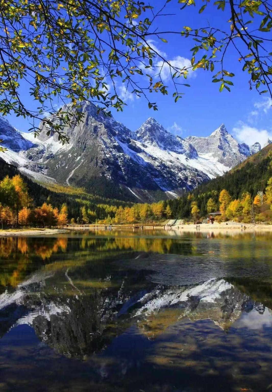 เหมารถออกเดินทางจากเฉิงตู: ทัวร์ 1 วัน VIP ปี้เผิงโกวแบบเหมารถ