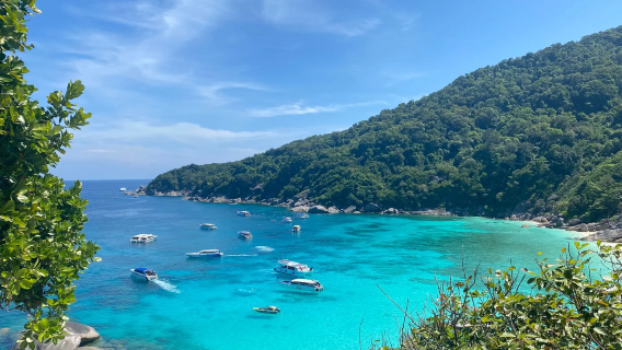 Excursion d'une journée à Phuket en Thaïlande : Plongée et snorkeling aux îles Similan avec transfert inclus