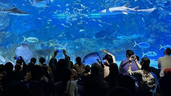 COEX Aquarium in Seoul, South Korea