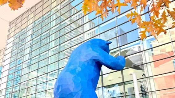 Abholung vom Flughafen/Transfer zum Flughafen/maßgeschneiderter Privattransfer in chinesischer Sprache am Denver International Airport, Colorado, USA