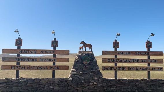 1-day private charter tour to Hustai National Park in Ulaanbaatar, Mongolia