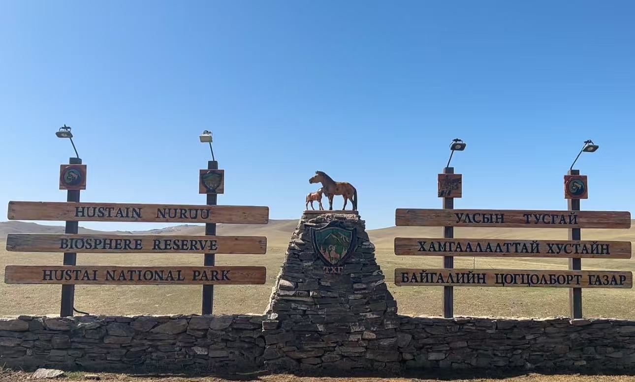 1-day private charter tour to Hustai National Park in Ulaanbaatar, Mongolia
