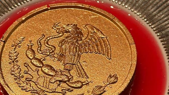 servicio de reservas en el famoso restaurante Ron Gastrobar en Ámsterdam, Países Bajos