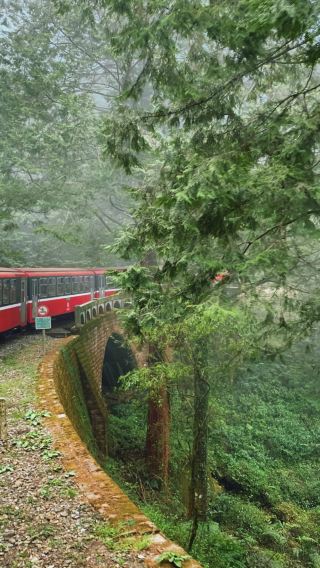 One-day cultural and ecological tour of Alishan, Chiayi | Departure from Kaohsiung or Tainan | Group tour