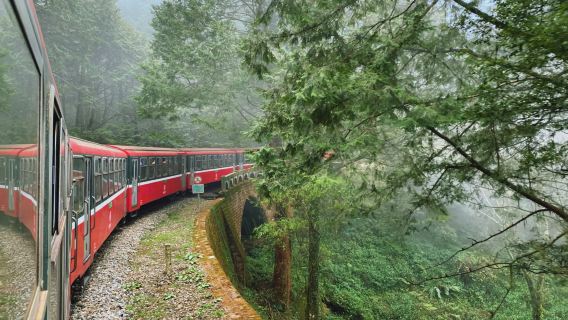 Chiayi Alishan Cultural and Ecological Day Trip