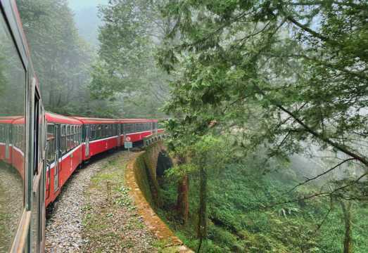 ChiaYi Alishan Cultural Ecology Day Tour | Departing from Kaohsiung or Tainan | Group or Private Tour